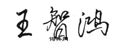 骆恒光王智鸿行书个性签名怎么写