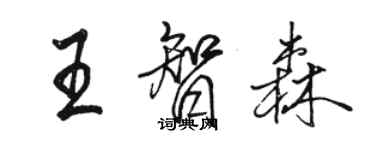 骆恒光王智森行书个性签名怎么写