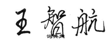 骆恒光王智航行书个性签名怎么写