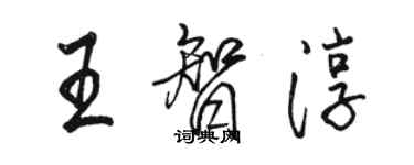 骆恒光王智淳行书个性签名怎么写