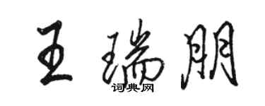 骆恒光王瑞朋行书个性签名怎么写