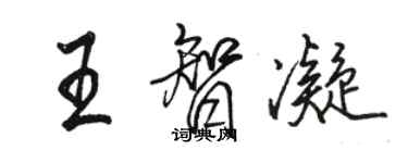 骆恒光王智凝行书个性签名怎么写