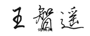 骆恒光王智遥行书个性签名怎么写
