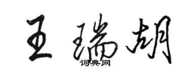 骆恒光王瑞胡行书个性签名怎么写