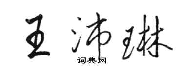 骆恒光王沛琳行书个性签名怎么写