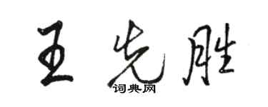 骆恒光王先胜行书个性签名怎么写