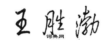 骆恒光王胜渤行书个性签名怎么写