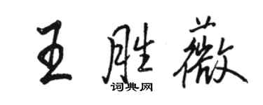 骆恒光王胜薇行书个性签名怎么写