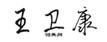骆恒光王卫康行书个性签名怎么写