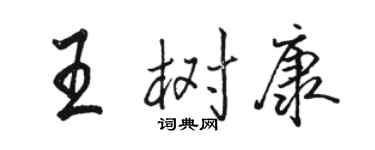 骆恒光王树康行书个性签名怎么写
