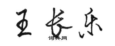 骆恒光王长乐行书个性签名怎么写