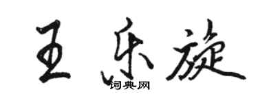 骆恒光王乐旋行书个性签名怎么写