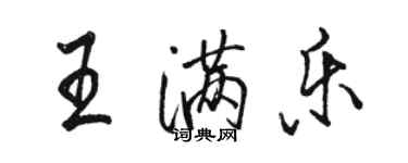 骆恒光王满乐行书个性签名怎么写