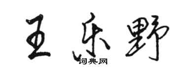 骆恒光王乐野行书个性签名怎么写