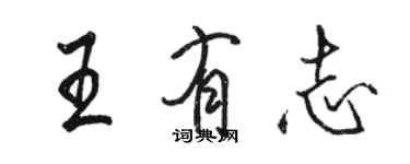 骆恒光王有志行书个性签名怎么写