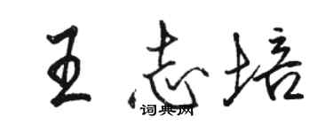 骆恒光王志培行书个性签名怎么写