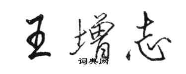 骆恒光王增志行书个性签名怎么写