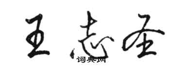 骆恒光王志圣行书个性签名怎么写