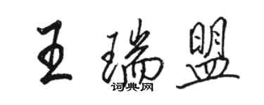 骆恒光王瑞盟行书个性签名怎么写