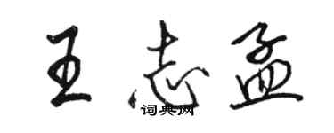 骆恒光王志孟行书个性签名怎么写