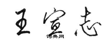 骆恒光王宣志行书个性签名怎么写