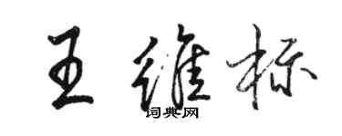 骆恒光王维标行书个性签名怎么写