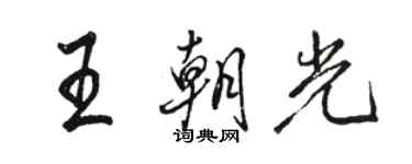 骆恒光王朝光行书个性签名怎么写