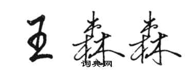 骆恒光王森森行书个性签名怎么写