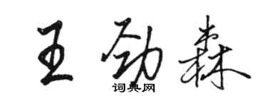 骆恒光王劲森行书个性签名怎么写