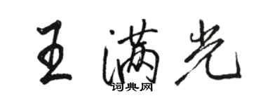 骆恒光王满光行书个性签名怎么写