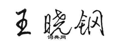 骆恒光王晓钢行书个性签名怎么写