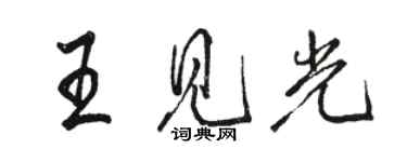骆恒光王见光行书个性签名怎么写