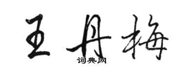 骆恒光王丹梅行书个性签名怎么写