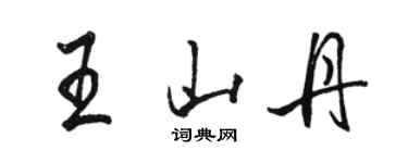 骆恒光王山丹行书个性签名怎么写