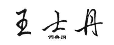 骆恒光王士丹行书个性签名怎么写