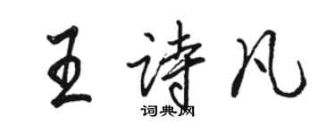 骆恒光王诗凡行书个性签名怎么写