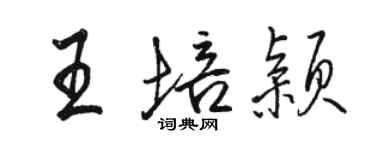 骆恒光王培颖行书个性签名怎么写