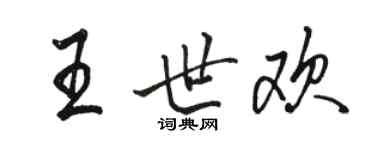 骆恒光王世欢行书个性签名怎么写