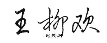 骆恒光王柳欢行书个性签名怎么写