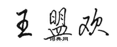 骆恒光王盟欢行书个性签名怎么写