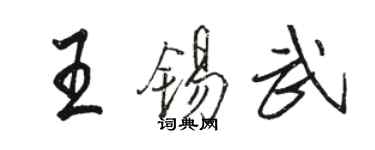 骆恒光王锡武行书个性签名怎么写