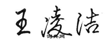骆恒光王凌洁行书个性签名怎么写
