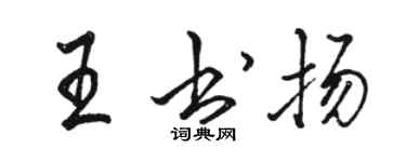 骆恒光王书扬行书个性签名怎么写