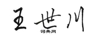 骆恒光王世川行书个性签名怎么写