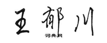 骆恒光王郁川行书个性签名怎么写