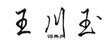 骆恒光王川玉行书个性签名怎么写