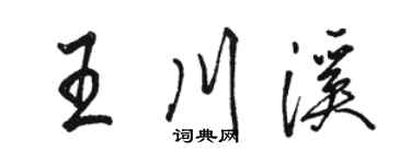 骆恒光王川溪行书个性签名怎么写