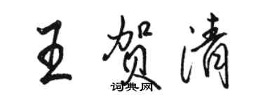 骆恒光王贺清行书个性签名怎么写