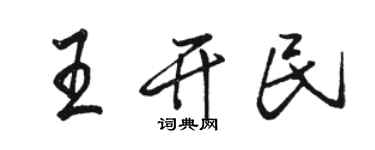 骆恒光王开民行书个性签名怎么写