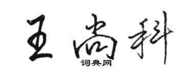 骆恒光王尚科行书个性签名怎么写